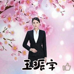 王振宇